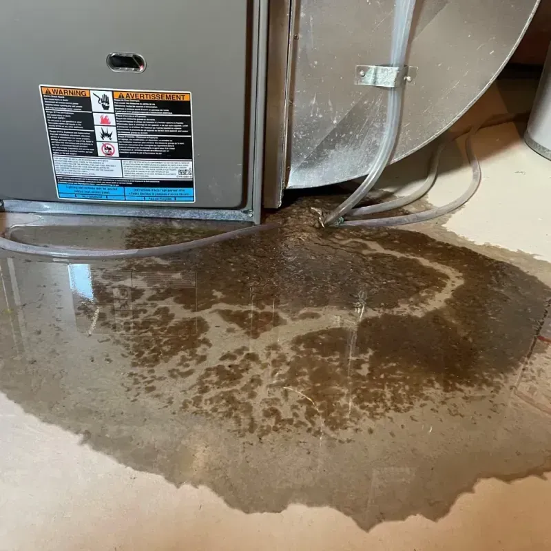 Appliance Leak Cleanup in Katonah, NY